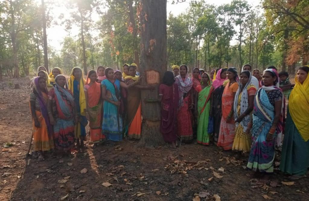 Who is Responsible for the Felling of the Hasdeo Forest