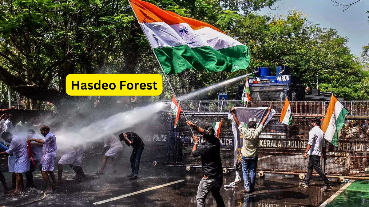 Hasdeo Forest